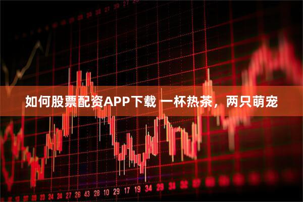 如何股票配资APP下载 一杯热茶，两只萌宠